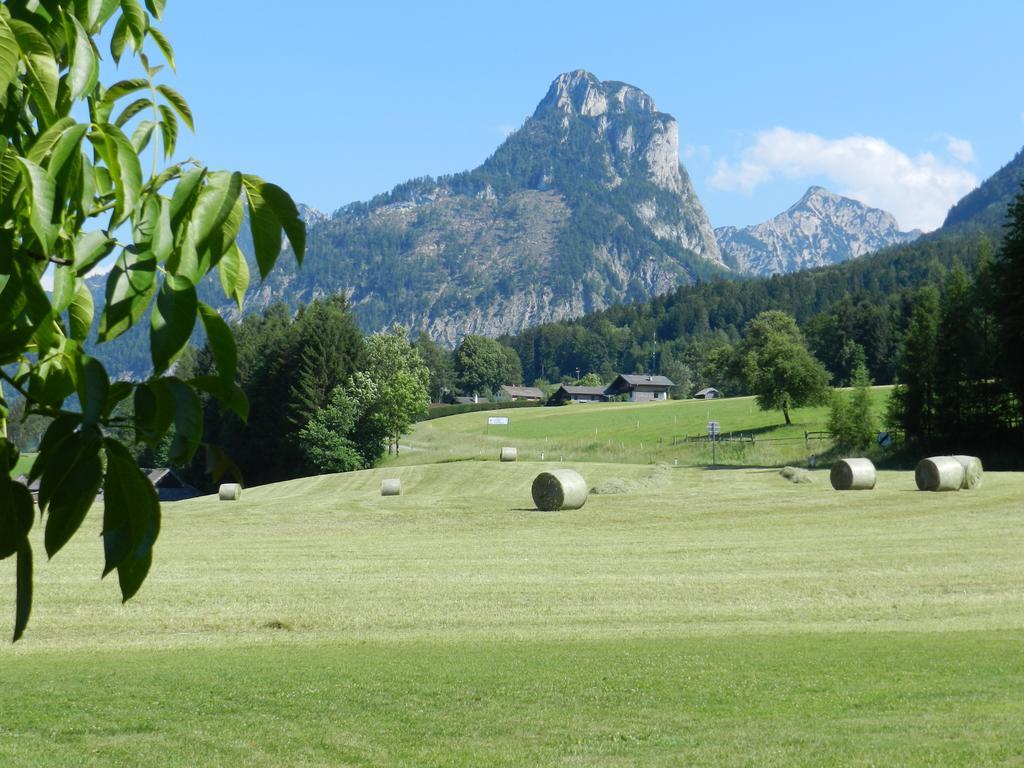 Gasthof Wiesenhof Strobl Extérieur photo